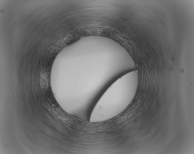 X0000067480772200604070927