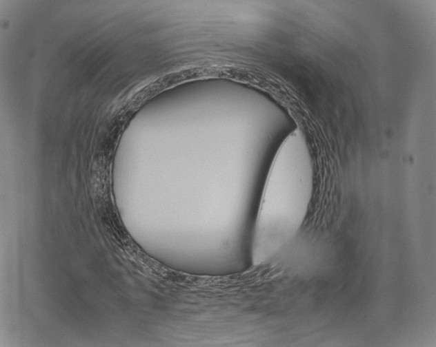 X0000067480773200604070927
