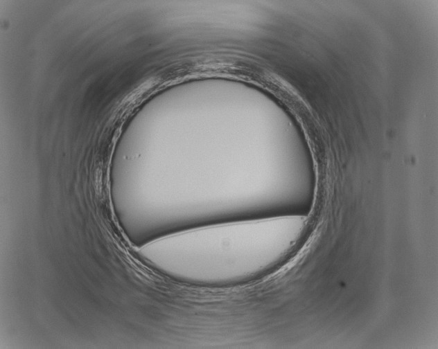 X0000067480777200604070927