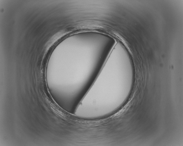 X0000067480779200604070927