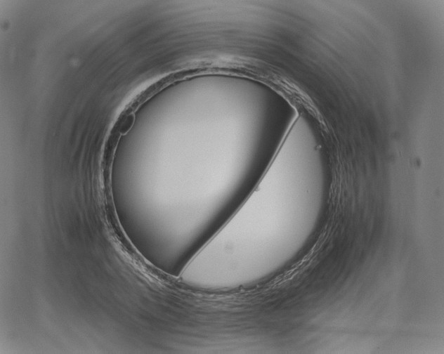 X0000067480784200604070926