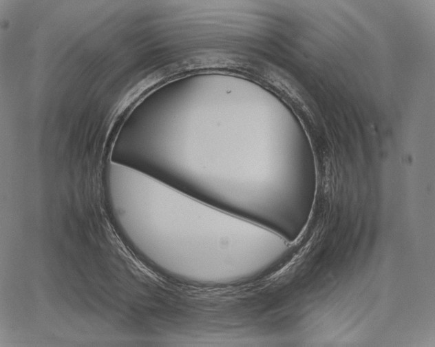 X0000067480786200604070926