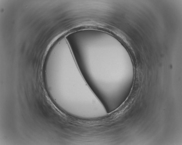 X0000067480791200604070926