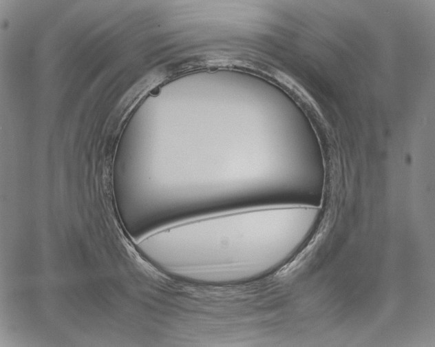 X0000067480801200604070926