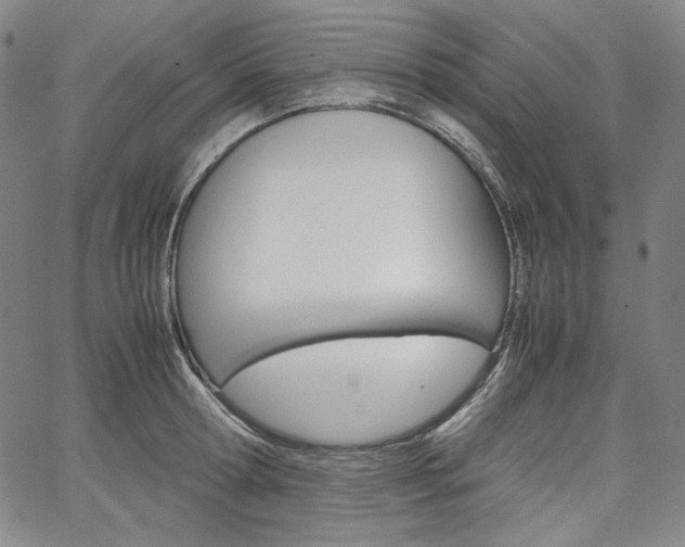 X0000067480802200604070926