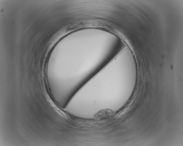 X0000067480803200604070926