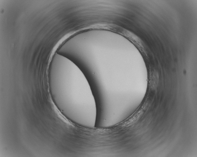 X0000067480808200604070926