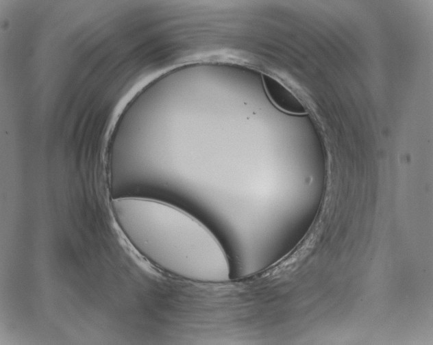 X0000067480816200604070926