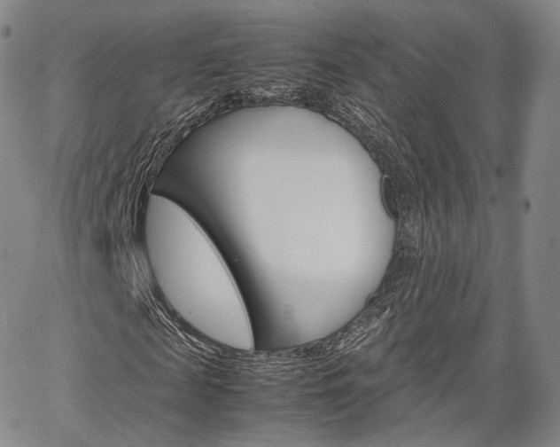 X0000067480817200604070925
