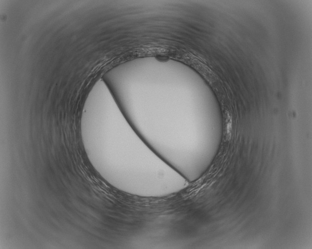 X0000067480819200604070925