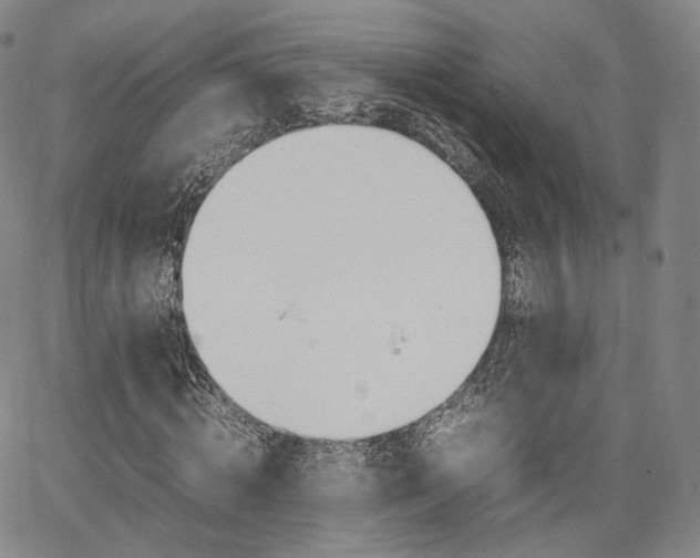 X0000067480820200604070925