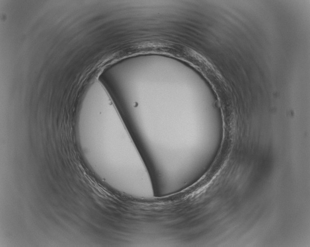 X0000067480825200604070925