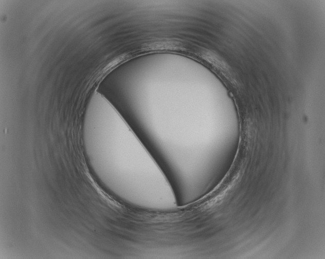 X0000067480841200604070926