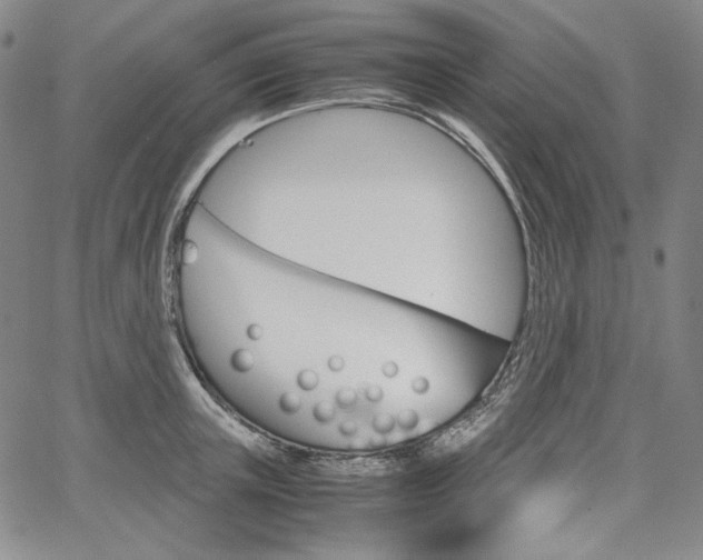 X0000067480851200604070926