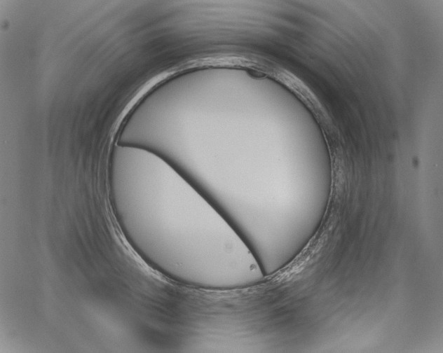 X0000067480852200604070926