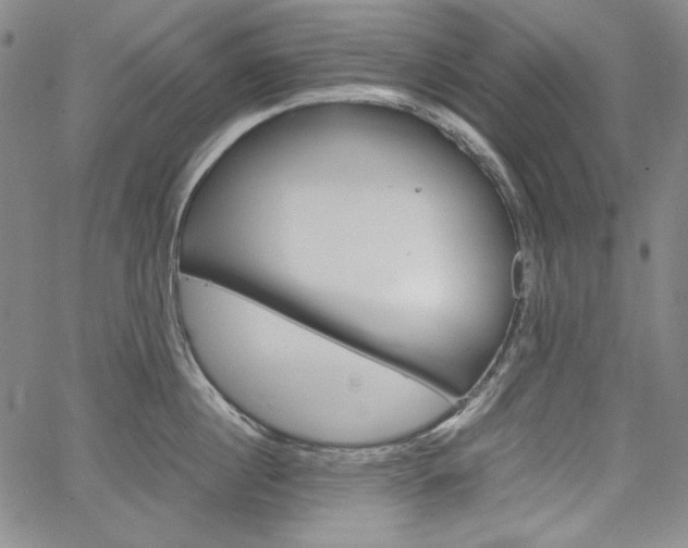 X0000067480860200604070926