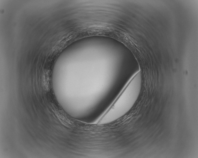 X0000067480868200604070925