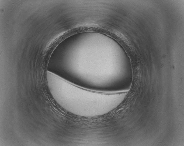 X0000067480872200604070925
