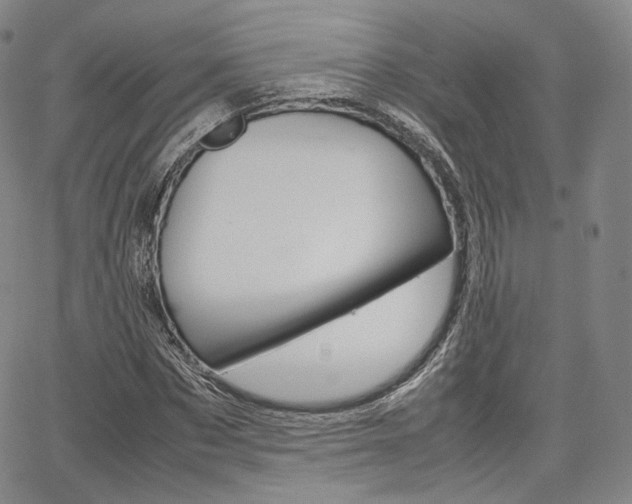 X0000067480873200604070925