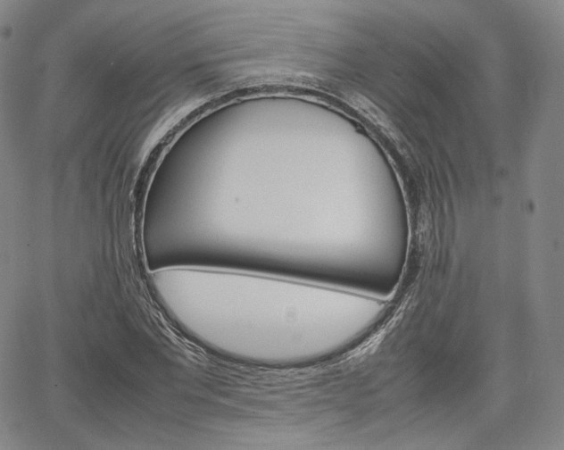 X0000067480877200604070925