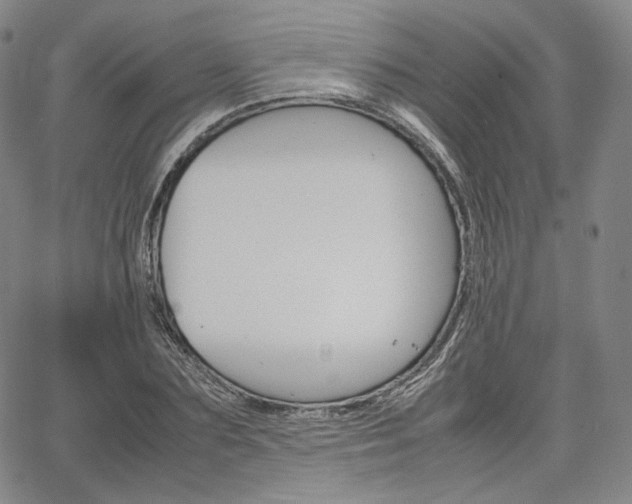 X0000067480883200604070925