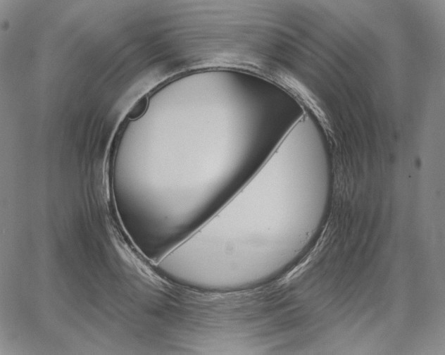 X0000067480892200604070925