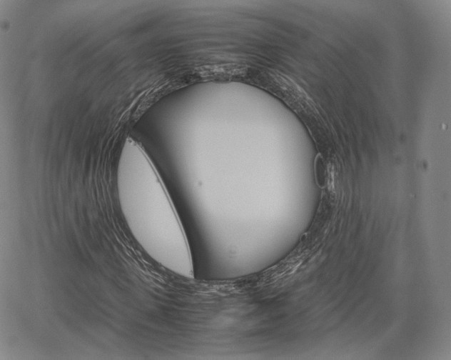 X0000067480915200604070924