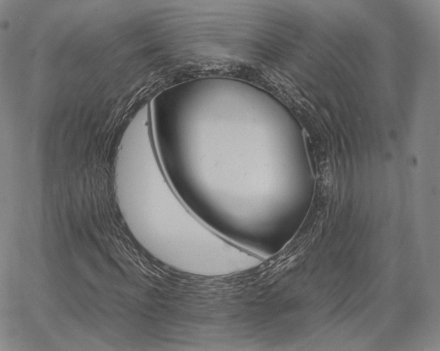 X0000067480916200604070924