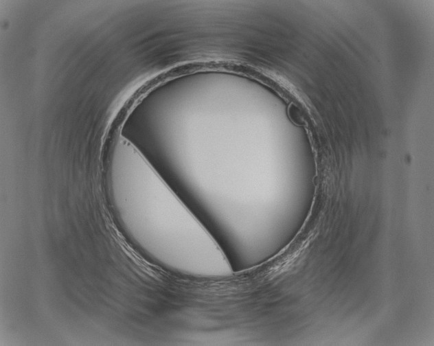 X0000067480927200604070924