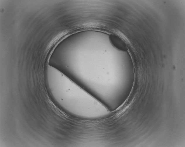 X0000067480930200604070924