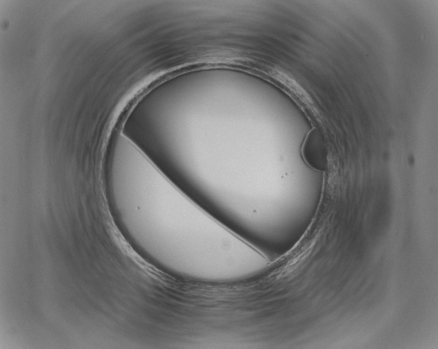 X0000067480939200604070924