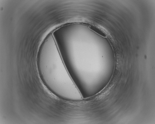 X0000067480942200604070924