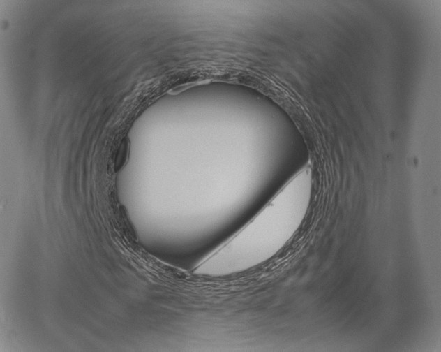 X0000067480961200604070924