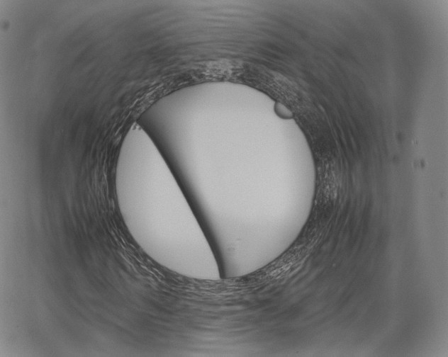 X0000067480962200604070924