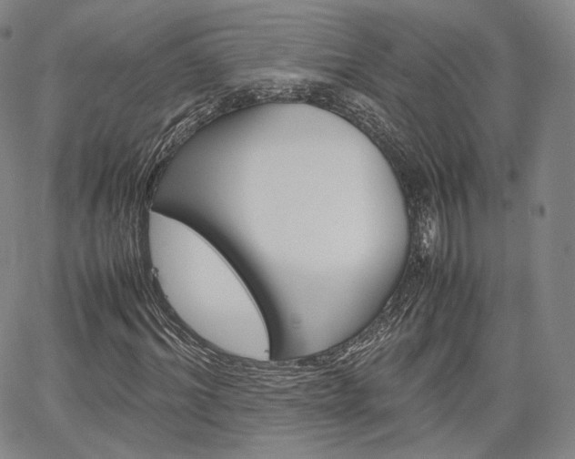 X0000067480964200604070924