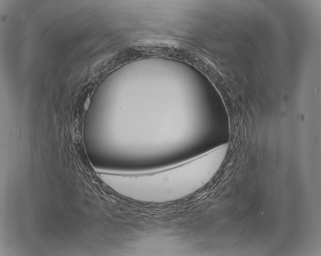X0000067480965200604070924