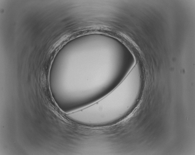 X0000067480969200604070923