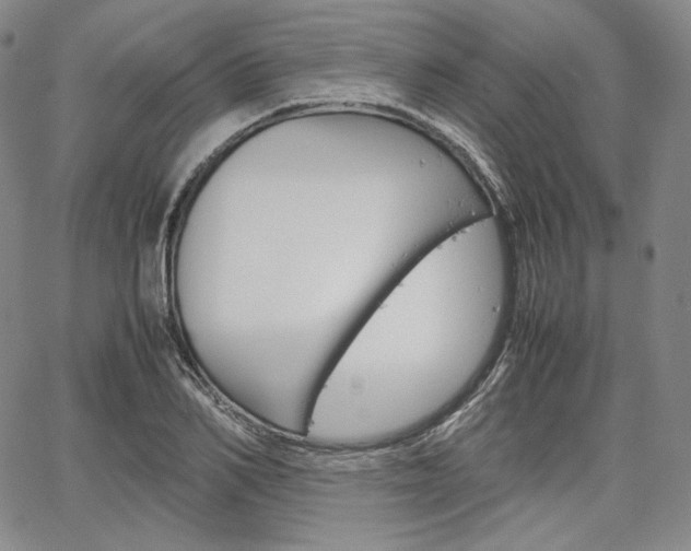 X0000067480982200604070923
