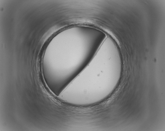 X0000067480983200604070923