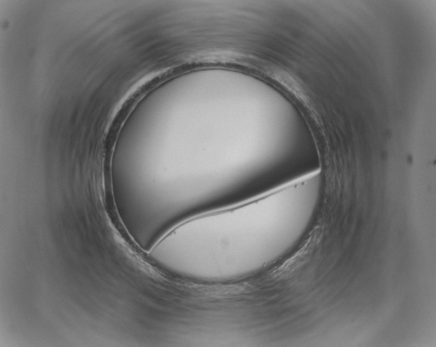 X0000067480984200604070923