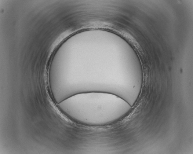 X0000067480990200604070923