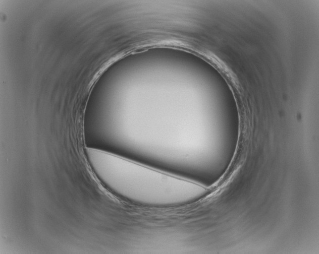 X0000067481001200604070923