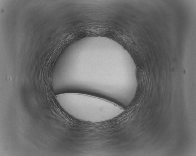 X0000067481009200604070922