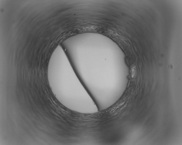 X0000067481011200604070922