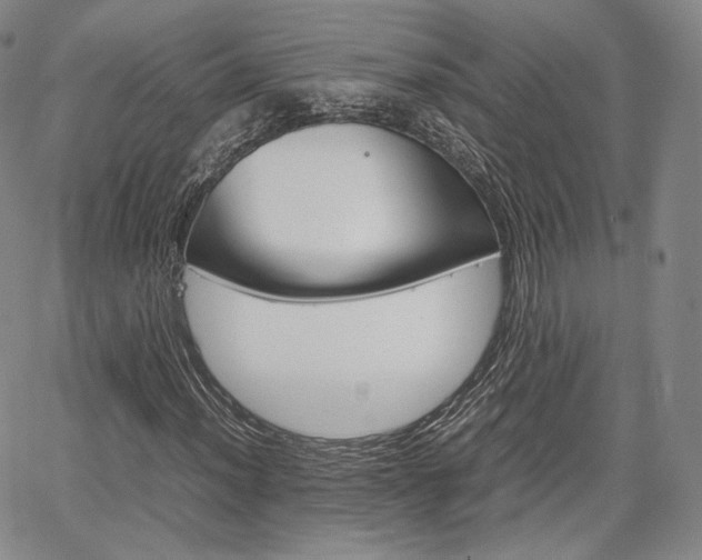 X0000067481012200604070922