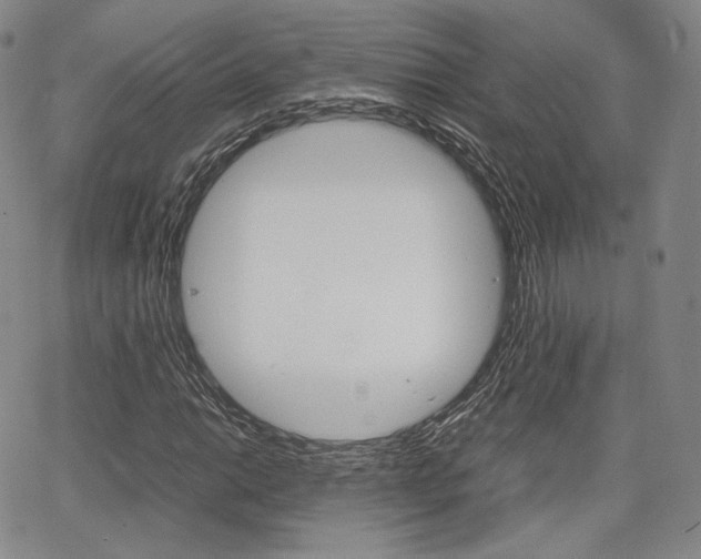 X0000067481014200604070922