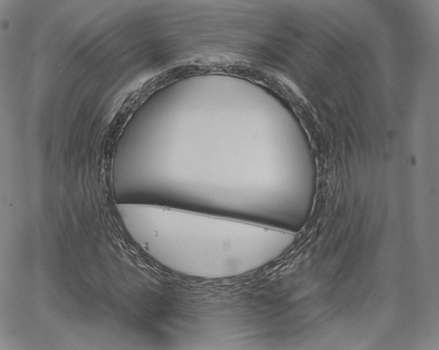 X0000067481016200604070922