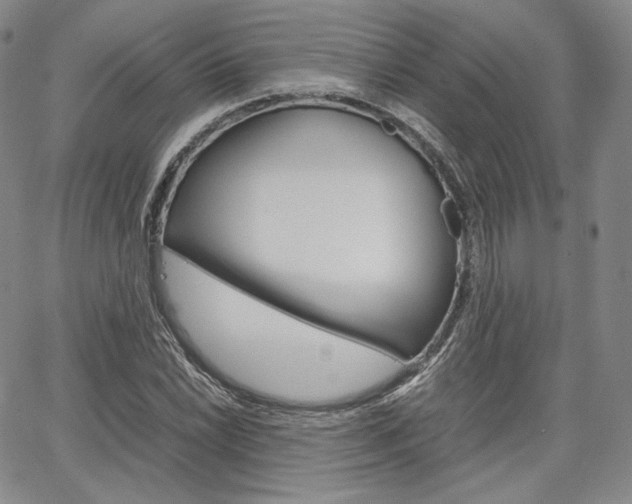 X0000067481022200604070922