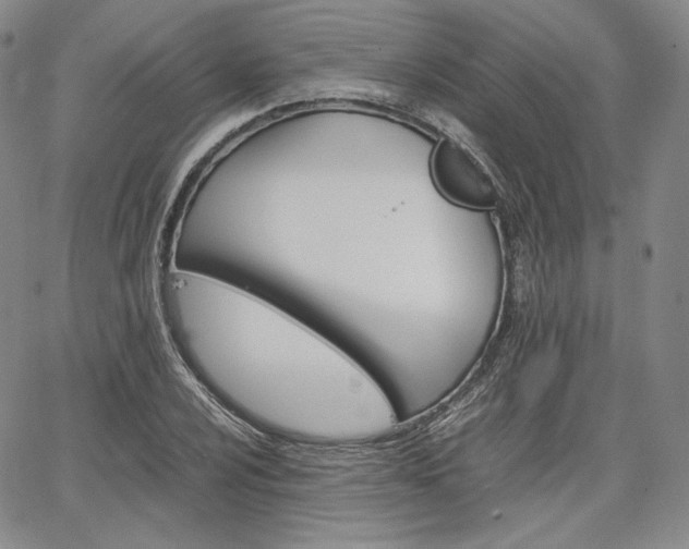 X0000067481024200604070922