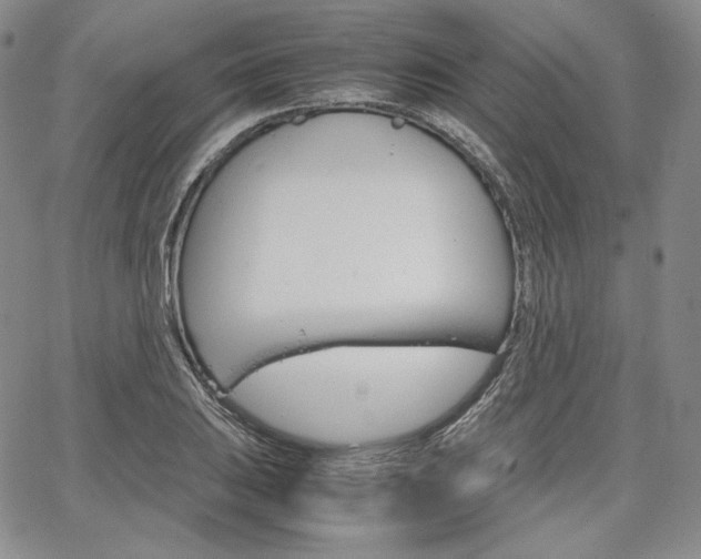 X0000067481031200604070922